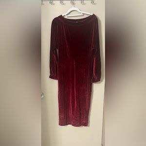 NWOT VELVET DRESS